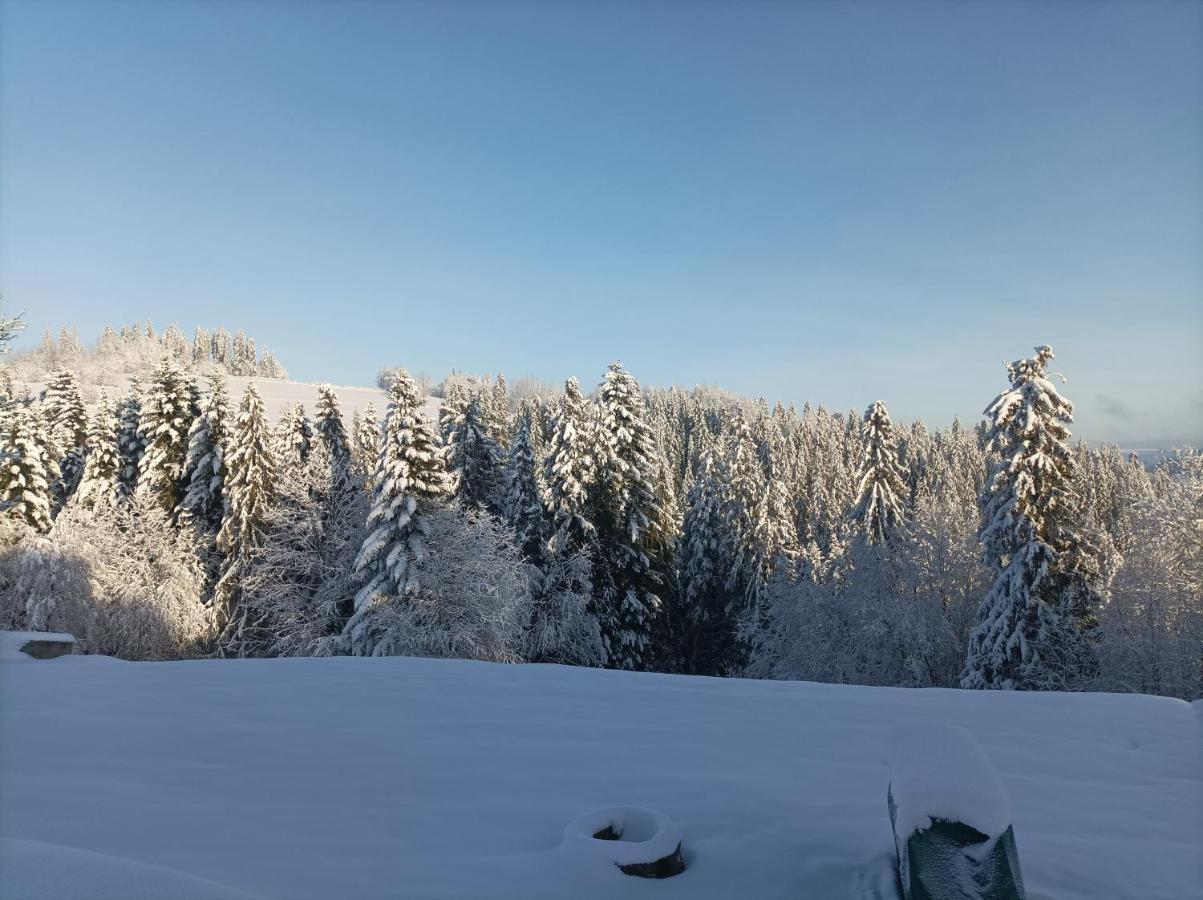 Wierchowe Apartamenty Leśnica Exterior foto